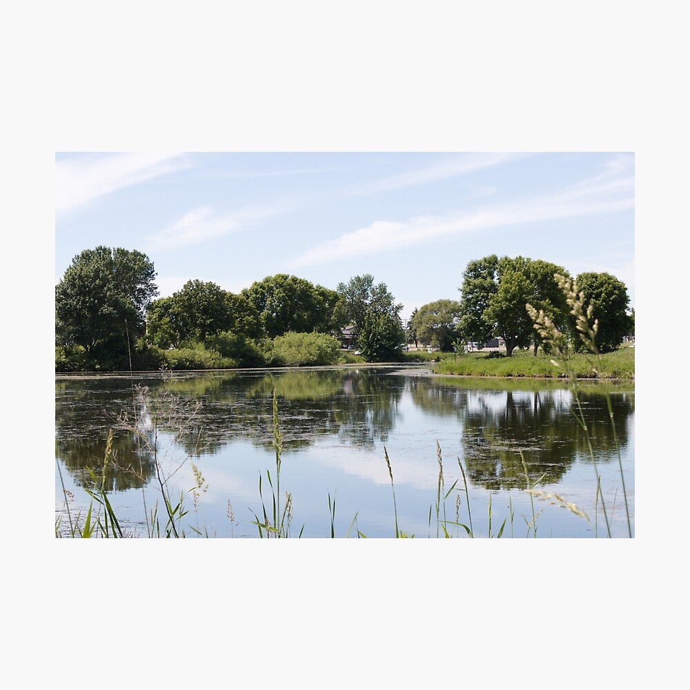 Photograph of a lake scene on a sunny day.